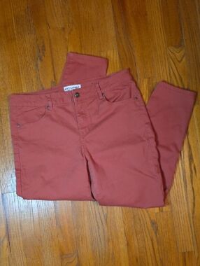 Artisan NY Rust Colored Pants Size 12